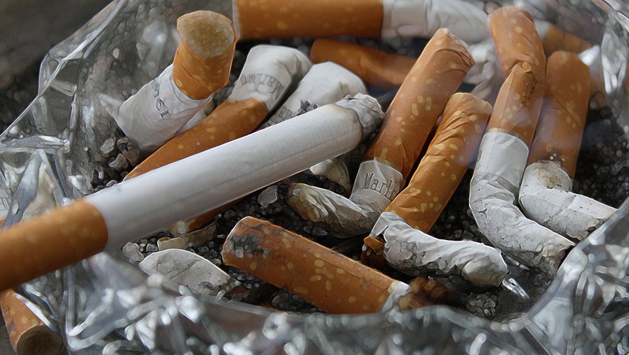 Journée mondiale sans tabacs 2025 : une synergie d’actions pour combattre le fléau