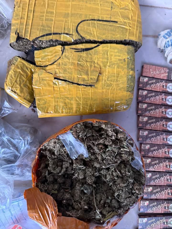 Village de Massigui ( région de Dioila ) Saisie d’une brique de Skunk et 123 paquets de feuilles à rouler de marque Rizla.