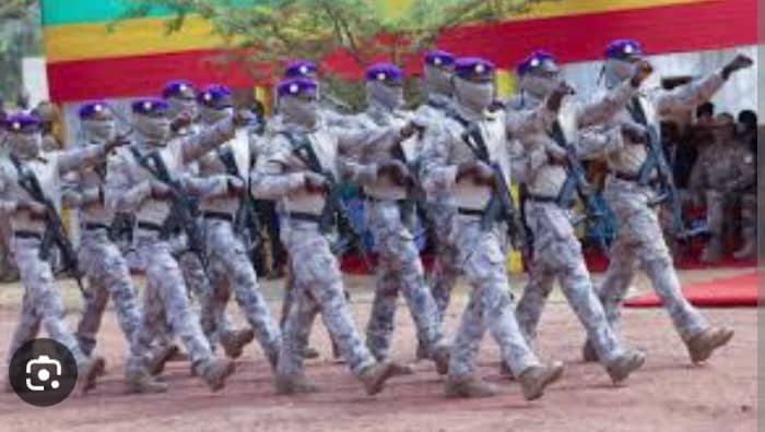 Mali : Création d’une nouvelle force spéciale, le Commandement des Opérations Spéciales