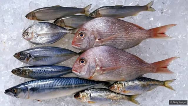 Dr Hamidou Diakité de la Direction Nationale de la Pêche  « Il n’existe pas de poissons plastiques au Mali »