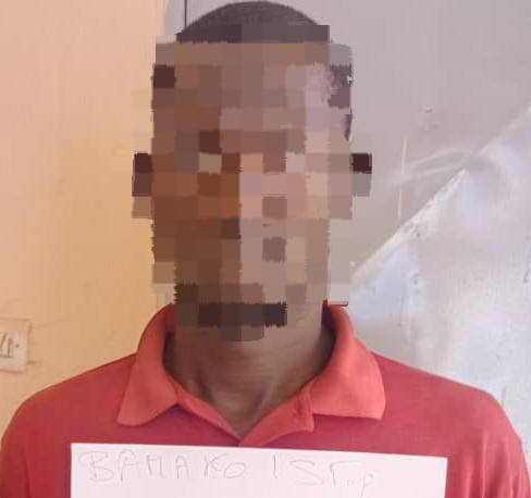 N’Golonina : Saisie spectaculaire de 12 tonnes de produits pharmaceutiques prohibés