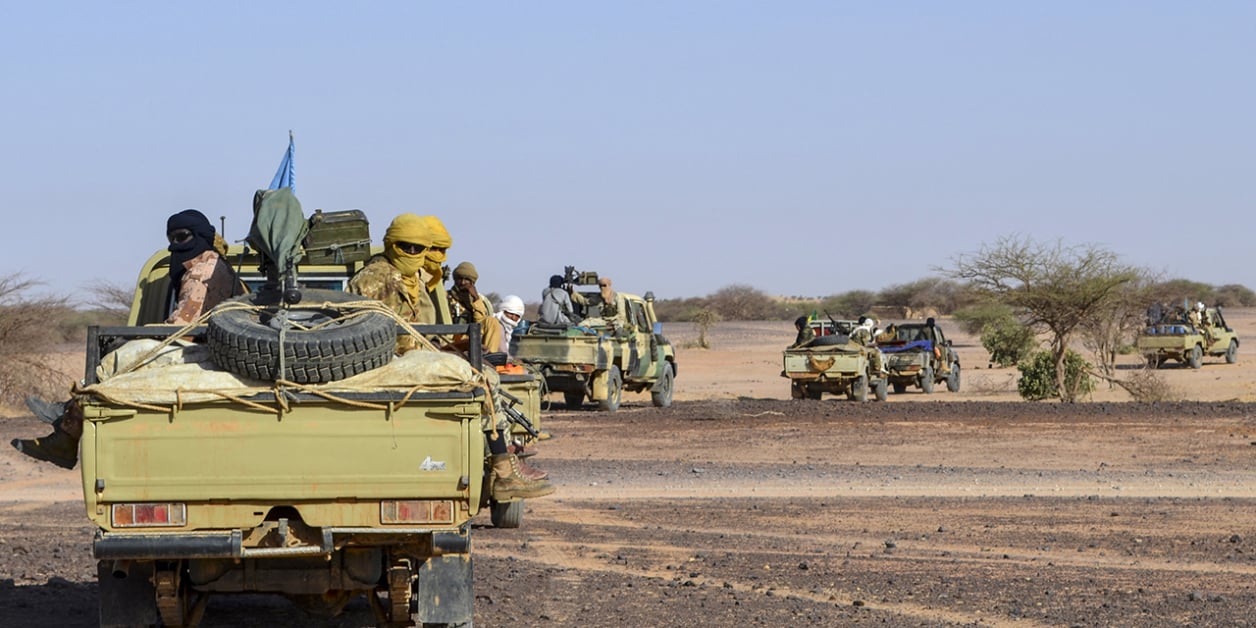 Mali : les FAMa neutralisent plusieurs terroristes, des bétails volés interceptés