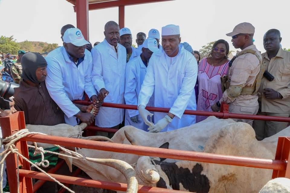 Campagne Nationale de Vaccination du cheptel 2025/2026 : 83 millions de têtes concernées