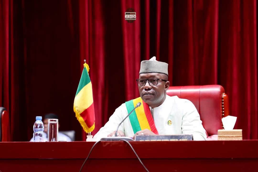 Centrale hydroélectrique de Kourouba : le CNT autorise la ratification d&rsquo;un accord de prêt pour le financement du projet