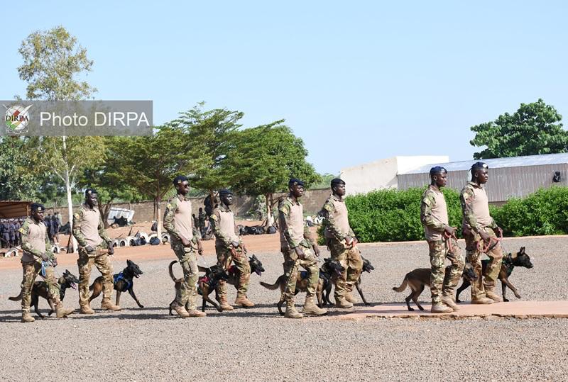 Mali : L&rsquo;ARMÉE DE L&rsquo;AIR SE DOTE DE SA TOUTE PREMIÈRE UNITÉ CYNOPHILE