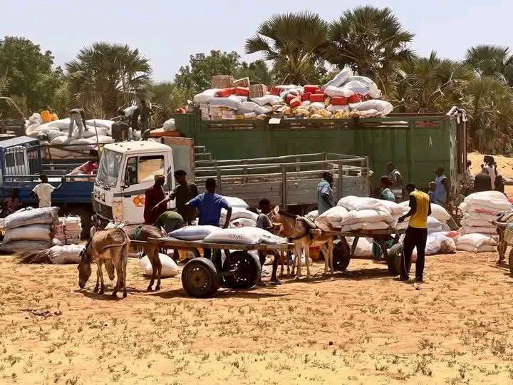 Solidarité des FAMA : 48 tonnes de vivres et de médicaments acheminées à Diafarébé et Nouh Bozo 