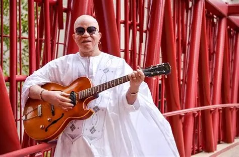 Violences xénophobes : Salif Keïta annule ses concerts en Afrique du Sud