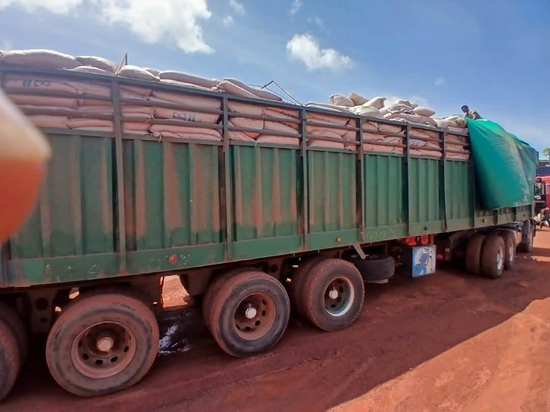 Saisie record sur l&rsquo;axe San-Koutiala : La Douane intercepte 2,5 tonnes de farine et 200 cartons d&rsquo;huile de contrebande